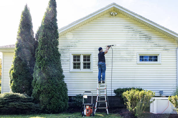 Best Warehouse Cleaning  in Dubach, LA